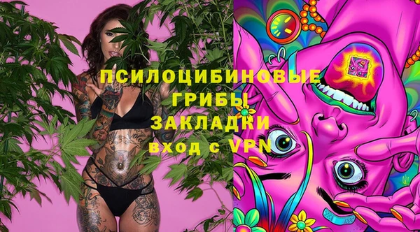 соль ск Бородино