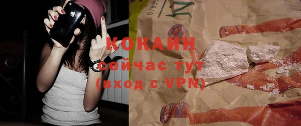 соль ск Бородино