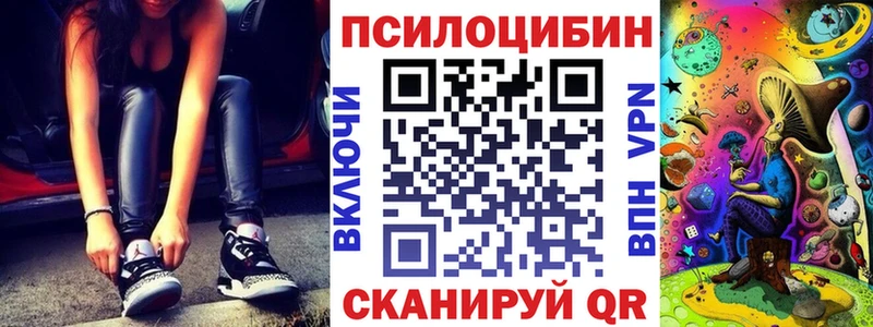 хочу наркоту  Королёв  Галлюциногенные грибы Psilocybine cubensis 