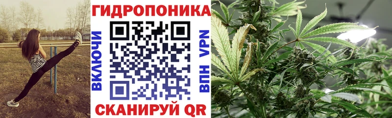 даркнет сайт  Королёв  Шишки марихуана гибрид 